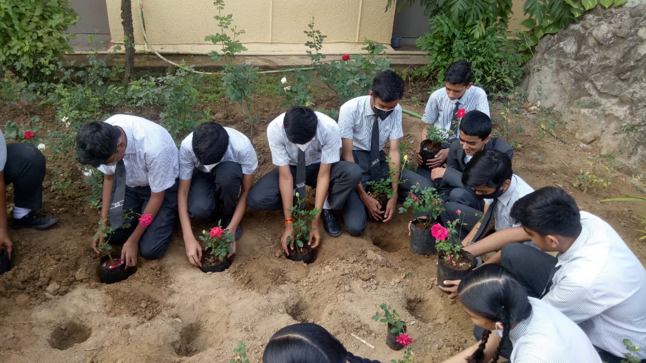 STD 9 Supw Plantation